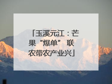 玉溪元江：芒果“爆单” 联农带农产业兴