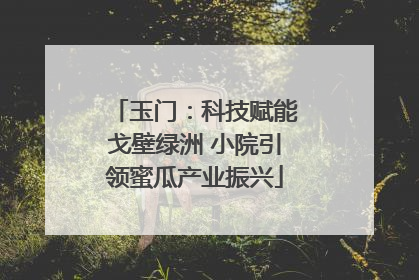 玉门：科技赋能戈壁绿洲 小院引领蜜瓜产业振兴