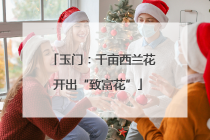 玉门：千亩西兰花开出“致富花”
