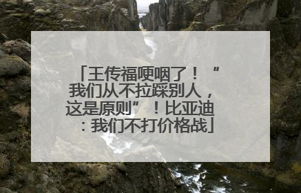 王传福哽咽了！“我们从不拉踩别人，这是原则”！比亚迪：我们不打价格战