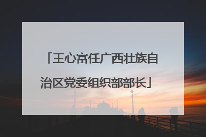 王心富任广西壮族自治区党委组织部部长