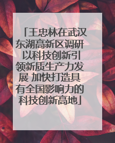 王忠林在武汉东湖高新区调研 以科技创新引领新质生产力发展 加快打造具有全国影响力的科技创新高地