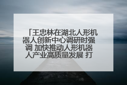 王忠林在湖北人形机器人创新中心调研时强调 加快推动人形机器人产业高质量发展 打造具有全国影响力的研发创新基地