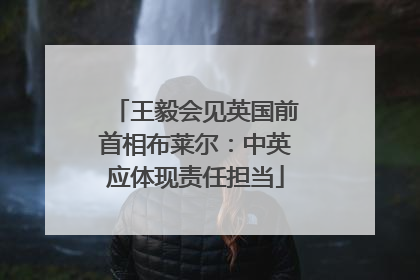 王毅会见英国前首相布莱尔：中英应体现责任担当