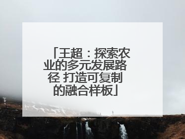 王超：探索农业的多元发展路径 打造可复制的融合样板
