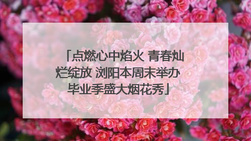 点燃心中焰火 青春灿烂绽放 浏阳本周末举办毕业季盛大烟花秀