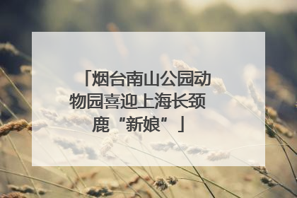 烟台南山公园动物园喜迎上海长颈鹿“新娘”