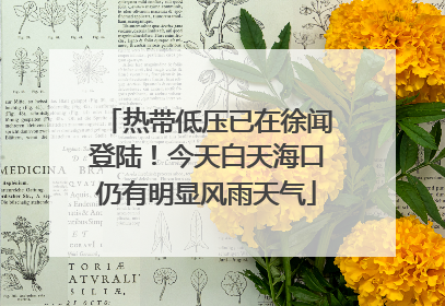 热带低压已在徐闻登陆！今天白天海口仍有明显风雨天气