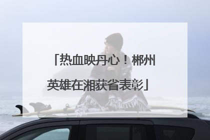 热血映丹心！郴州英雄在湘获省表彰