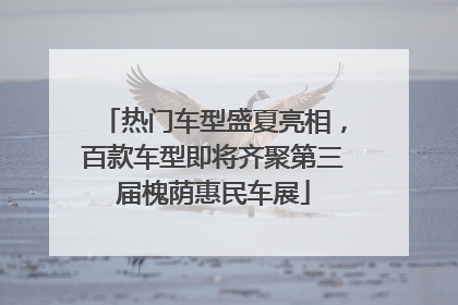 热门车型盛夏亮相，百款车型即将齐聚第三届槐荫惠民车展