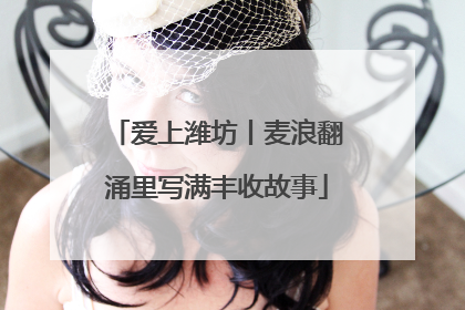 爱上潍坊丨麦浪翻涌里写满丰收故事