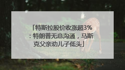 特斯拉股价收涨超3%：特朗普无意沟通，马斯克父亲劝儿子低头