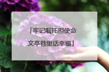 牢记嘱托担使命 文亭巷里话幸福