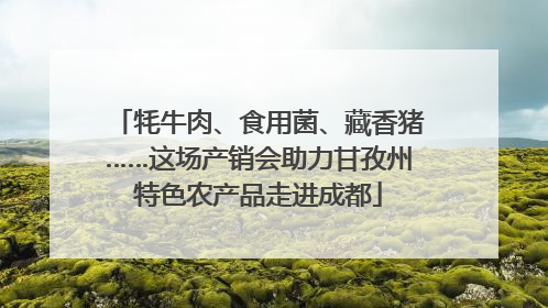 牦牛肉、食用菌、藏香猪……这场产销会助力甘孜州特色农产品走进成都