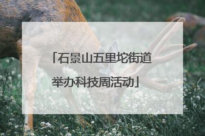 石景山五里坨街道举办科技周活动