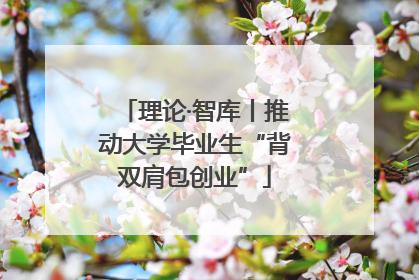 理论·智库丨推动大学毕业生“背双肩包创业”