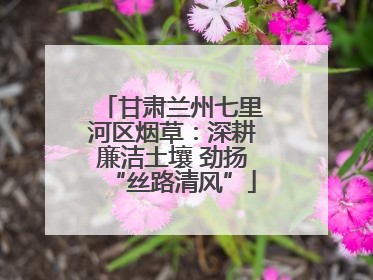 甘肃兰州七里河区烟草：深耕廉洁土壤 劲扬“丝路清风”