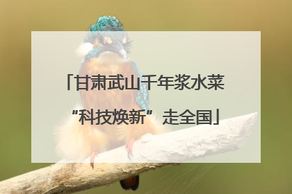 甘肃武山千年浆水菜“科技焕新”走全国