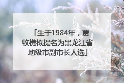 生于1984年，贾牧樵拟提名为黑龙江省地级市副市长人选