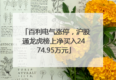 百利电气涨停，沪股通龙虎榜上净买入2474.95万元