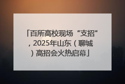 百所高校现场“支招”，2025年山东（聊城）高招会火热启幕