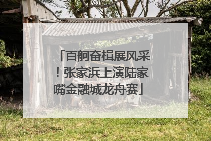 百舸奋楫展风采！张家浜上演陆家嘴金融城龙舟赛