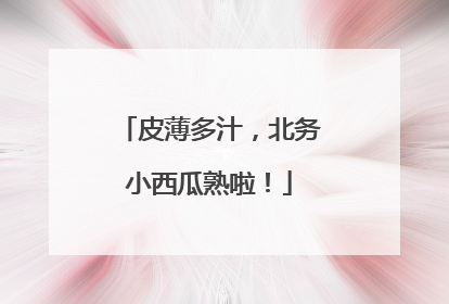 皮薄多汁，北务小西瓜熟啦！