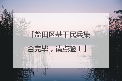 盐田区基干民兵集合完毕，请点验！