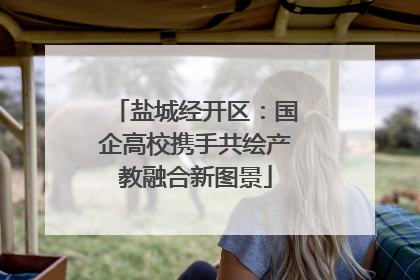 盐城经开区：国企高校携手共绘产教融合新图景