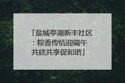 盐城亭湖新丰社区：粽香传情迎端午 共建共享促和谐