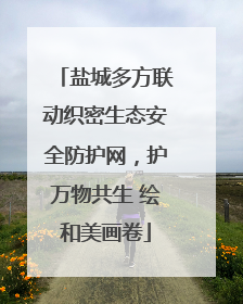 盐城多方联动织密生态安全防护网，护万物共生 绘和美画卷