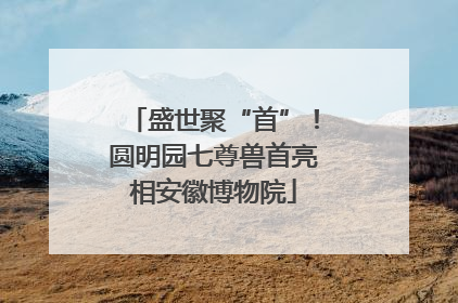 盛世聚“首”！圆明园七尊兽首亮相安徽博物院