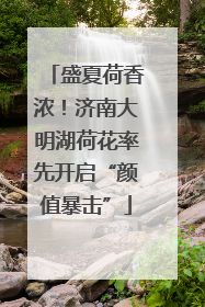 盛夏荷香浓！济南大明湖荷花率先开启“颜值暴击”