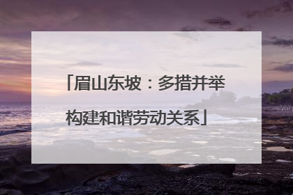 眉山东坡：多措并举构建和谐劳动关系