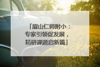 眉山仁师附小：专家引领促发展，精研课题启新篇