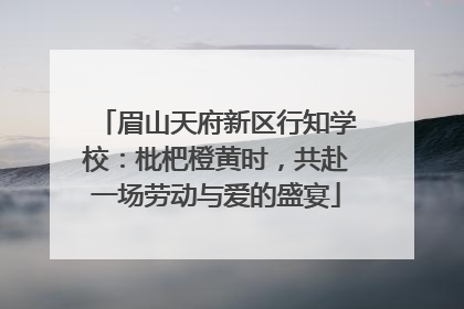 眉山天府新区行知学校：枇杷橙黄时，共赴一场劳动与爱的盛宴