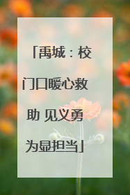 禹城：校门口暖心救助 见义勇为显担当