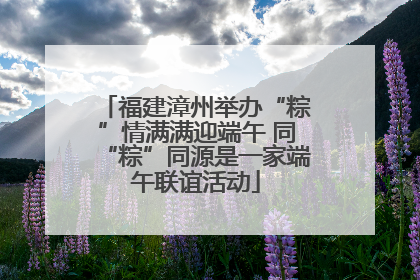 福建漳州举办“粽”情满满迎端午 同“粽”同源是一家端午联谊活动