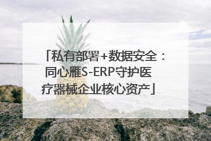 私有部署+数据安全：同心雁S-ERP守护医疗器械企业核心资产