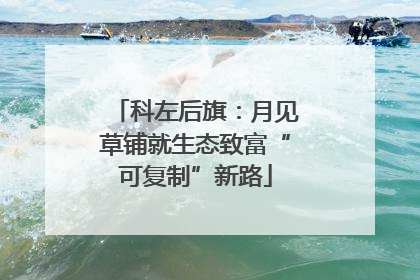 科左后旗：月见草铺就生态致富“可复制”新路