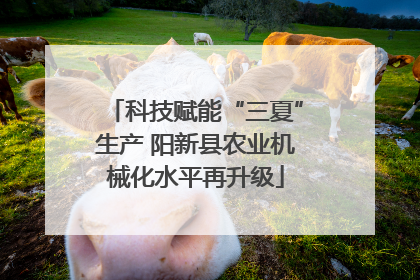 科技赋能“三夏”生产 阳新县农业机械化水平再升级