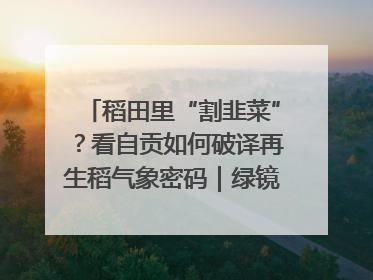 稻田里“割韭菜”？看自贡如何破译再生稻气象密码｜绿镜头·发现中国