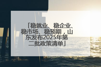 稳就业、稳企业、稳市场、稳预期，山东发布2025年第二批政策清单
