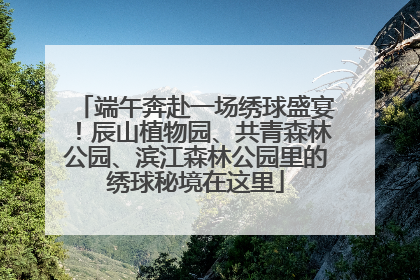端午奔赴一场绣球盛宴！辰山植物园、共青森林公园、滨江森林公园里的绣球秘境在这里