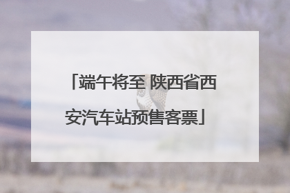 端午将至 陕西省西安汽车站预售客票