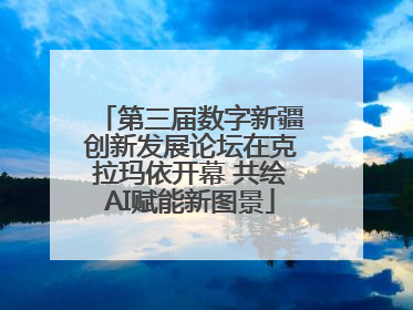 第三届数字新疆创新发展论坛在克拉玛依开幕 共绘AI赋能新图景