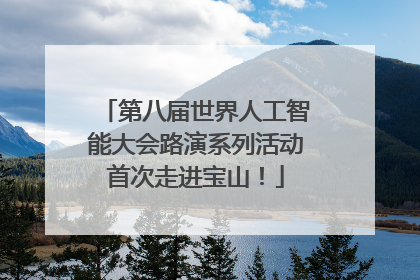 第八届世界人工智能大会路演系列活动首次走进宝山！