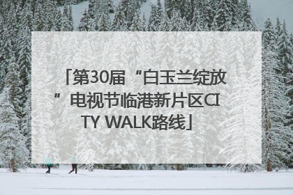 第30届“白玉兰绽放”电视节临港新片区CITY WALK路线