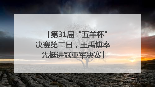 第31届“五羊杯”决赛第二日，王禹博率先挺进冠亚军决赛