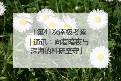 第41次南极考察｜通讯：向着暗夜与深海的科研坚守